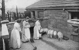 Broom Prints: Tending pigs, Inebriates Reformatory, Ackworth, West Yorkshi