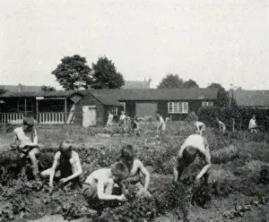 Harvesting Prints: Tennal Approved School, Birmingham - Harvesting