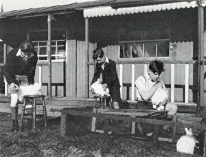 Angora Gallery: Tennal Approved School, Birmingham - Rabbits