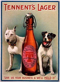 Industry Gallery: Tennents Lager advert