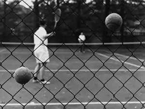 Balls Prints: Tennis Balls in Fence