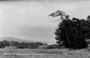 Freshwater Prints: Tennyson's View at Freshwater Bay