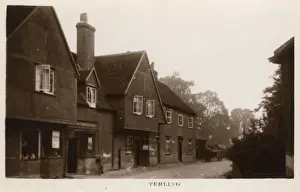 Terling, Essex