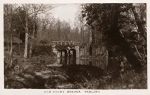 Dairy Prints: Terling, Essex - Old Dairy Bridge