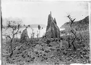 Termite Prints: Termite Nests, Cape York, Torres Straits