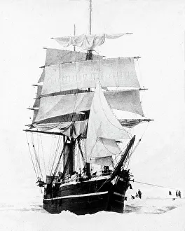 Terra Nova