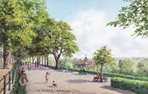 Terrace, Richmond-on-Thames, Surrey