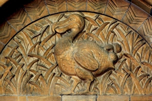 Detail of terracotta moulding of a dodo in the Waterhouse Bu Detail of terracotta moulding of a dodo in the Waterhouse Bu