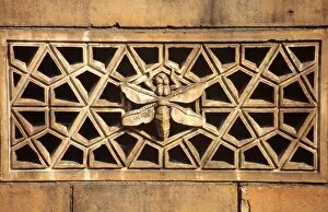 Anisoptera Gallery: Detail of terracotta moulding of a dragonfly in the Waterhou