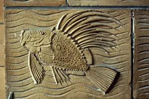 Detail of terracotta moulding of a fish in the Waterhouse Bu