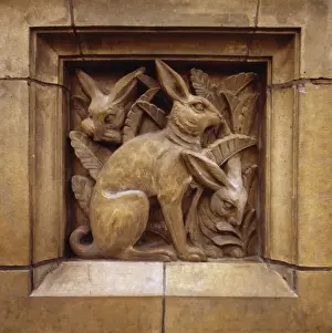 Lagomorph Prints: Detail of terracotta panel from the Natural History Museum