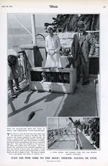 Sep18 Collection: Terrier racing in Juan les Pins
