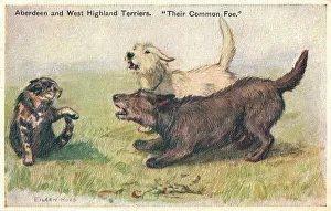 Aberdeen Prints: Terriers