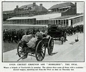 Wagon Gallery: Territorial Army camping at Oval cricket ground, WW1