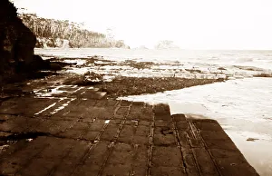 Tasmania Prints: Tessellated Pavement, Tasmania, Victorian period
