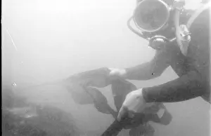 Tessyman family, seaweed farmers, Dartmouth, Devon