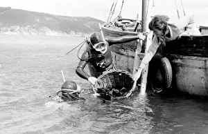Tessyman family, seaweed farmers, Dartmouth, Devon