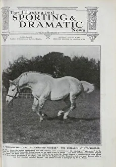 Retired Prints: The Tetrarch, a Racehorse