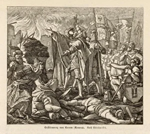 1243 Collection: Teutonic Knights Prussia