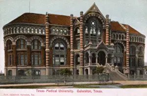 Galveston Prints: Texas Medical University, Galveston, Texas, USA