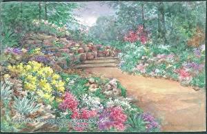 Pressland Prints: Text: Aubretias & Alyssum, Rock Gardens, Kew Gardens