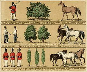 TEXTBOOK / 1880 / PLATE 1