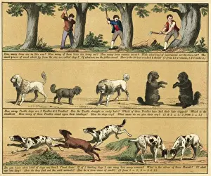 Text Books Prints: TEXTBOOK / 1880 / PLATE 11