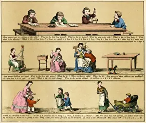 TEXTBOOK / 1880 / PLATE 13