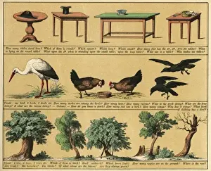 Text Books Prints: TEXTBOOK / 1880 / PLATE 4
