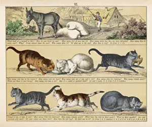 TEXTBOOK / 1880 / PLATE 6