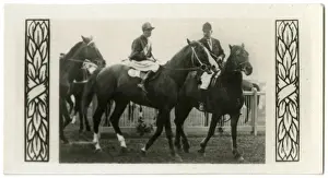 Racehorse Prints: Textile, Australian race horse