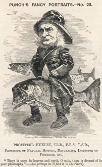 th Huxley/Sambourne 1881