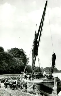 Thames barge unloading bricks, Kingston-upon-Thames