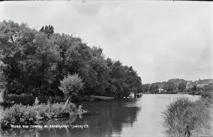 Caversham Prints: The Thames at Caversham
