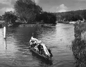 Thames at Eynsham
