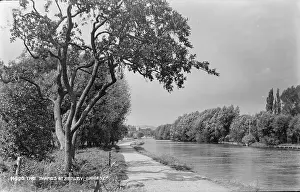 Henley Prints: The Thames at Henley