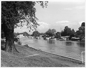 Thames at Sunbury