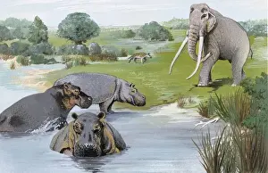 Elephantidae Prints: Thames Valley in the Ipswichian Interglacial