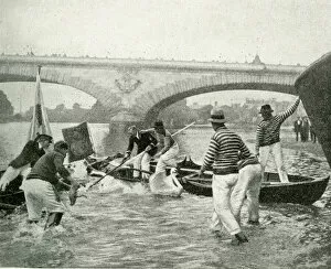 Swan Collection: Thames watermen at work during Swan Upping