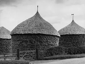 Growing Prints: Thatched Corn Ricks