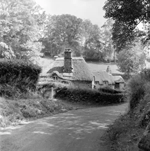 Budd Prints: Thatched cottage, Devon