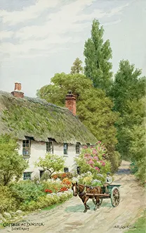 Somerset Prints: Thatched cottage at Dunster, Exmoor, Somerset