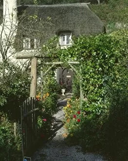 Selworthy Collection: Thatched cottage and garden, Selworthy, Somerset
