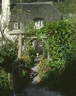 Thatched cottage and garden, Selworthy, Somerset