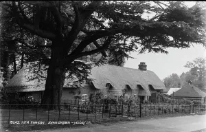 Thatched Cottage in Swan Green