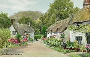 Cottages Prints: Thatched cottages, Dunster, Exmoor, Somerset