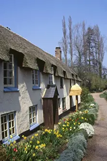 Whitewashed Prints: Thatched cottages at Dunster, Somerset