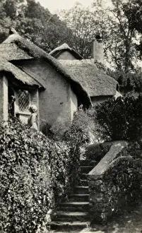 Thatched Cottages, Selworthy, Somerset