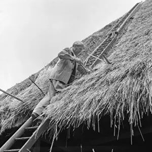 Thatching Prints: Thatcher, Sidney Chun - thatching a roof at Marlborough