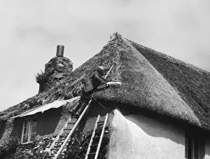 Thatching Cottage / Devon